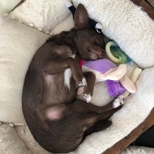 Meet your Posher, Mackenzie